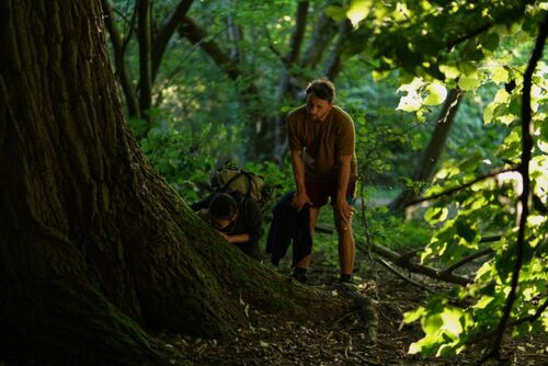 Filmcursus: Door beelden bewogen - Here